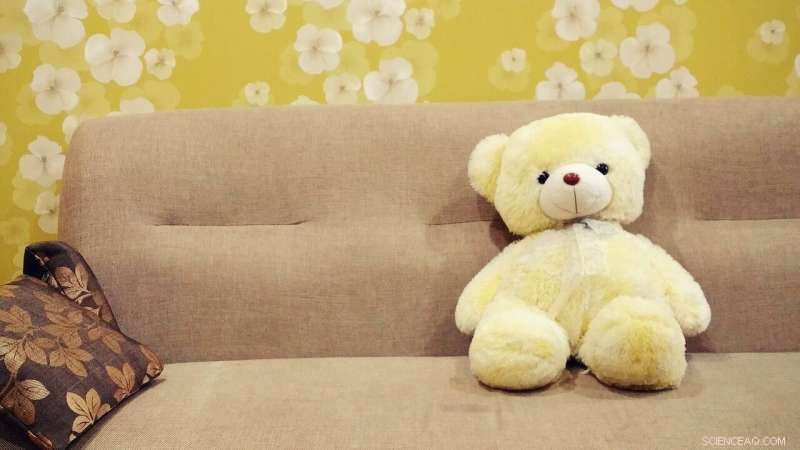 The Harsh Reality of Sofa Surfing: Insights from Crisis Research