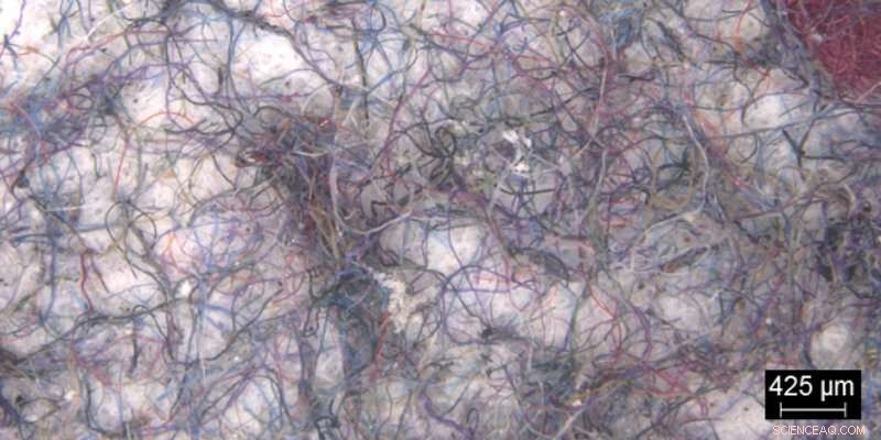 Shorter, Cooler Washes Extend Garment Life and Reduce Microfiber Pollution