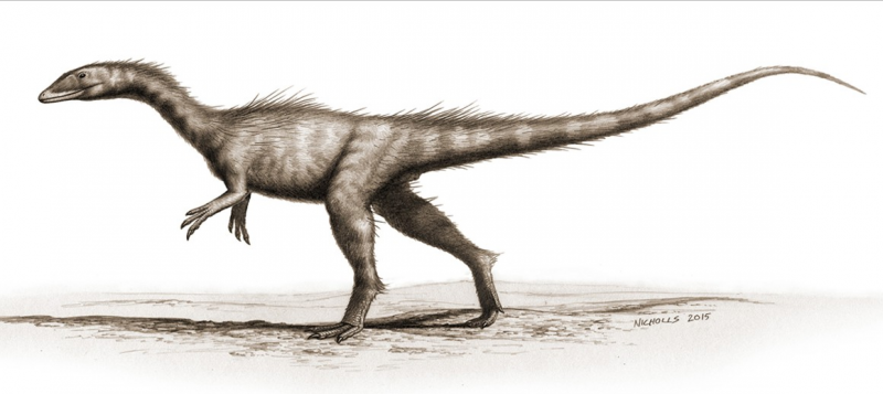 From Tiny Dinosaurs to Warm-Blooded Birds: Tracing Endothermy Evolution