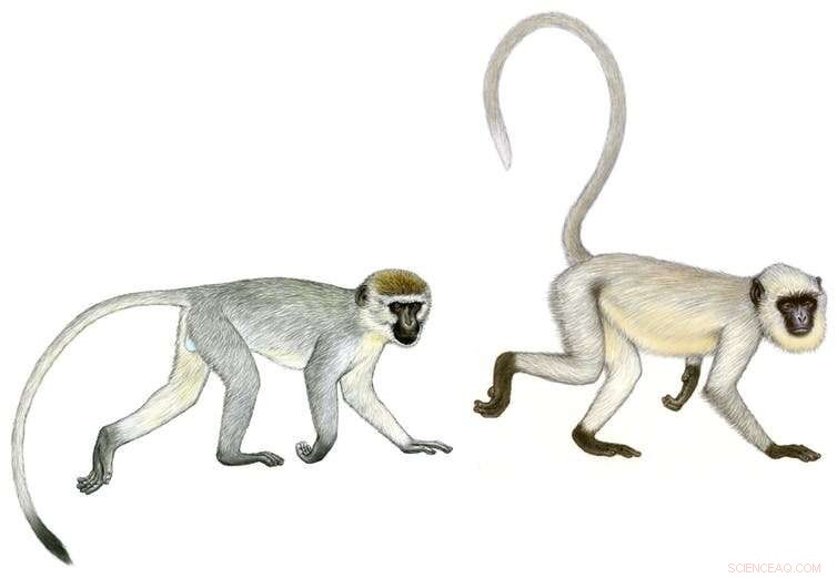 Unraveling the Greek Monkey Frescoes Unlocks a Key Insight into the Bronze Age