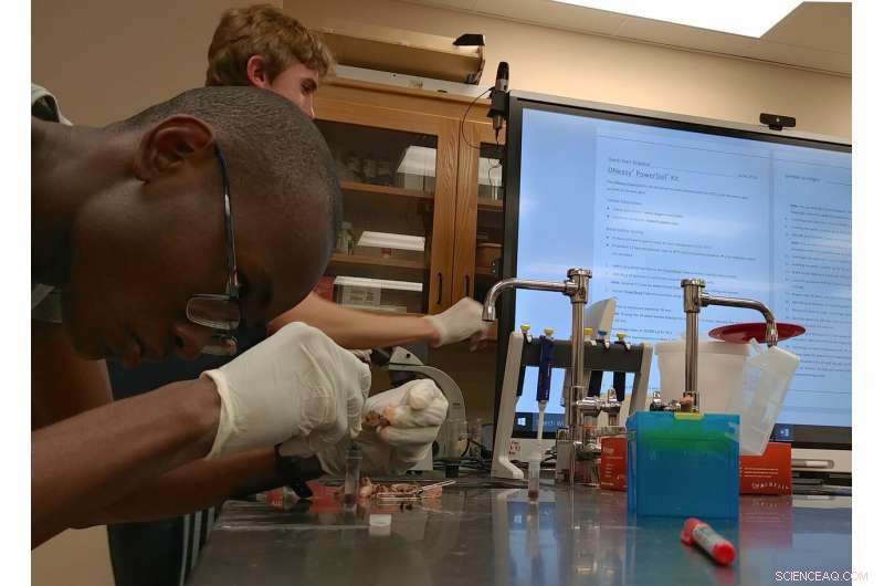 Hands‑On Everglades Microbiome Study Inspires Future STEM Careers