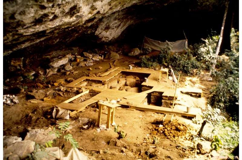 Ancient DNA from West Africa Reveals a 5,000-Year-Old Population Distinct from Today’s Inhabitants