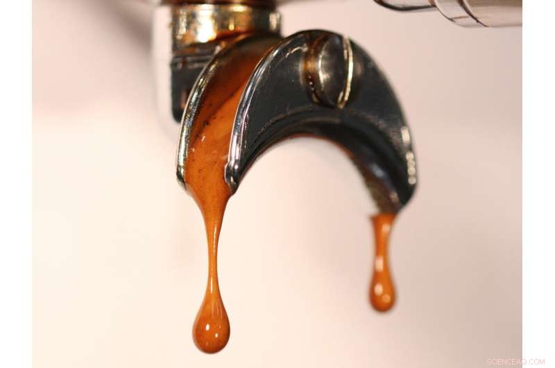 Elevate Your Espresso: The Science Behind Perfect Brewing