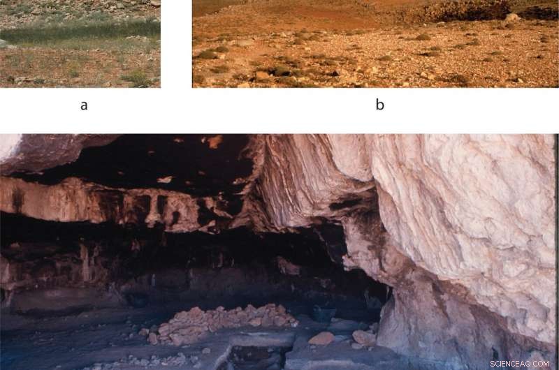 Prehistoric Lebanon: Researchers Confirm 10,000‑Year‑Old Sheep‑Hunting Camp