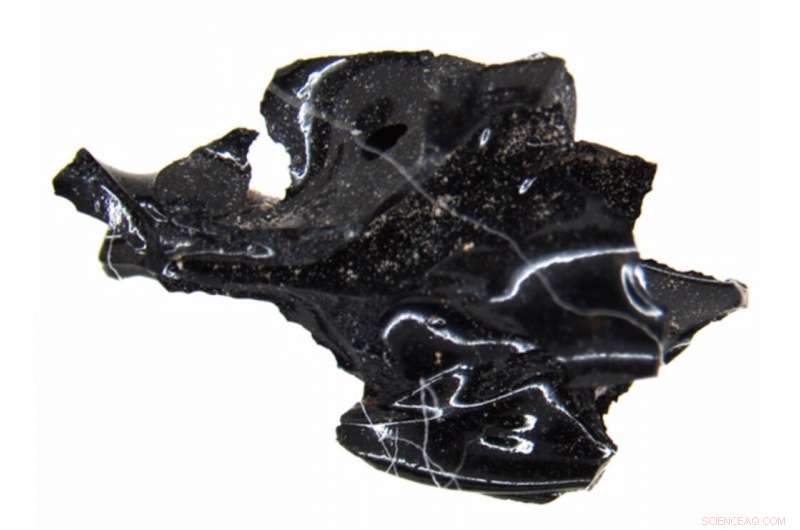 Mysterious Black Fragment from Vesuvius AD 79 Revealed as Brain Tissue in New Study