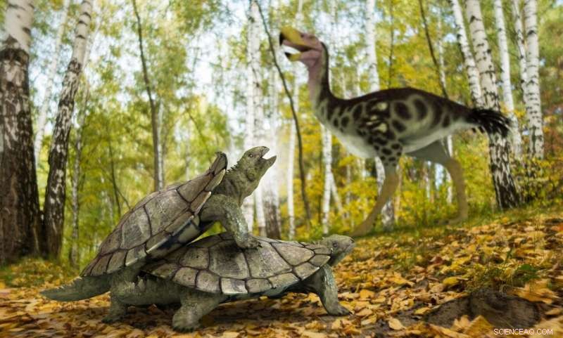 The Last Primitive Turtle: How a 60‑cm Species Survived the End‑Cretaceous Mass Extinction