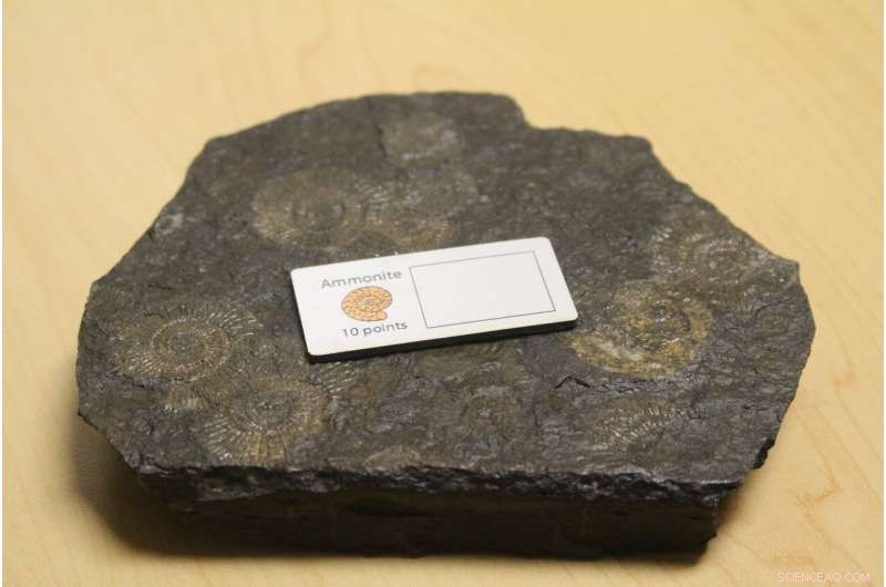 UT Researchers  Fossil-Finding Board Game Excels in Classroom Learning