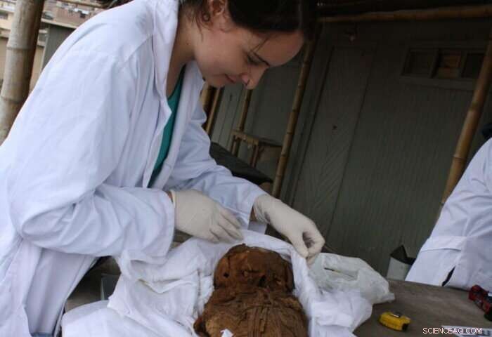 Advanced X‑ray Imaging Unlocks Secrets of Peruvian Mummies