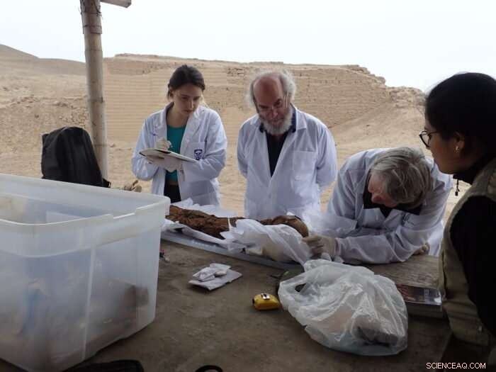 Advanced X‑ray Imaging Unlocks Secrets of Peruvian Mummies