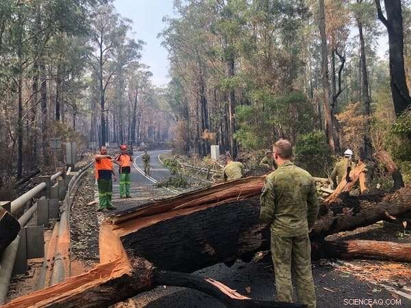 Bushfires Reveal Fragile Infrastructure: How Fire Disrupted Food, Fuel, Power, and Connectivity