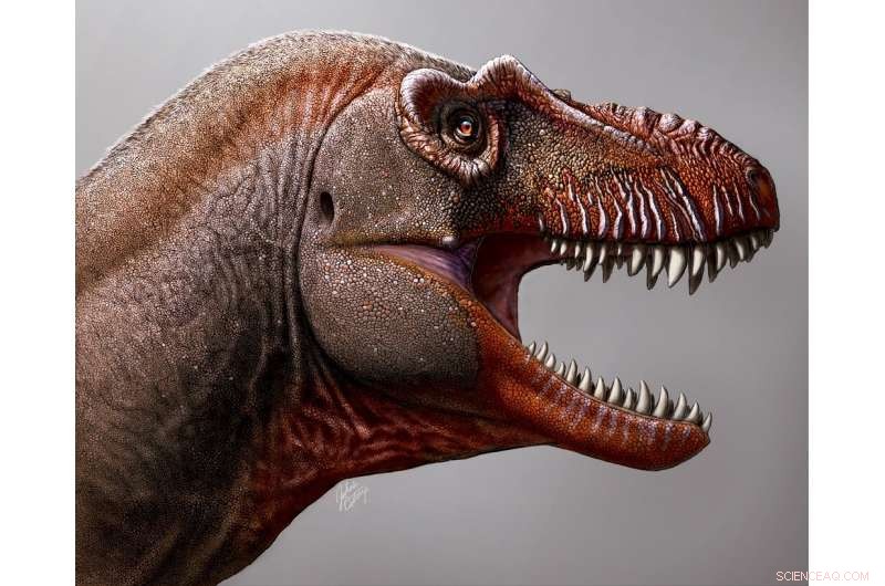 Introducing Thanatotheristes degrootorum: The Ancient Relic of the T‑Rex Lineage