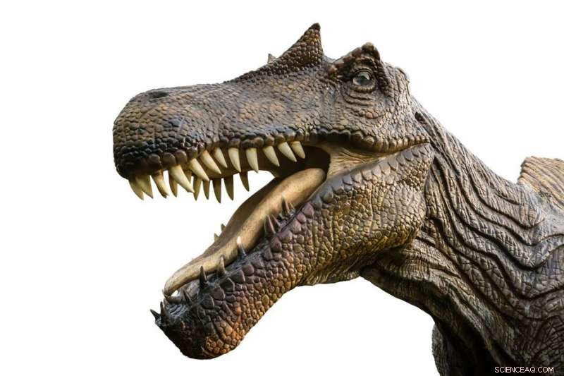 Unveiling Spinosaurus: Insights from North African Dinosaur Teeth on Diet and Ecological Role