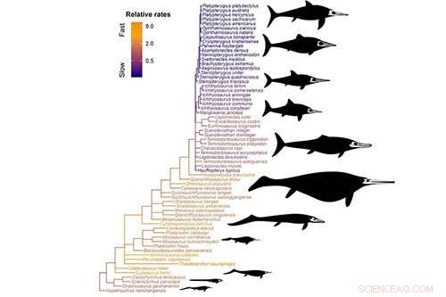Rise and Fall of Ancient Sea Dragons: A Deep Dive into Ichthyosaur Evolution