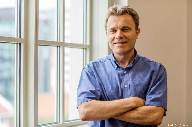 New Study Reveals Unified Mathematical Pattern Underlying Human Conflict