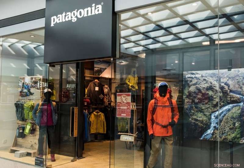 Co-Creating Value: Patagonia’s Shift from Consumption to Care and Community