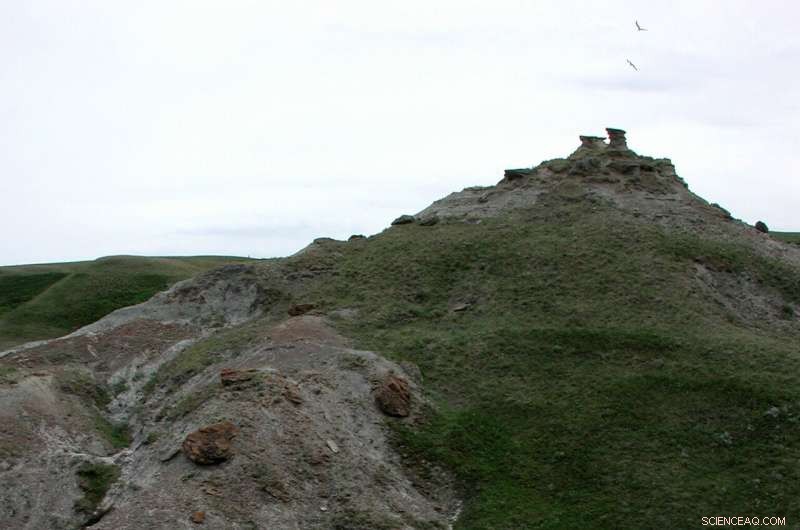 Did Ancient Dinosaurs Detect Illness in Their Offspring? New Research Reveals Parental Care