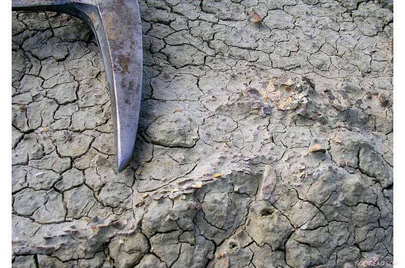 Did Ancient Dinosaurs Detect Illness in Their Offspring? New Research Reveals Parental Care