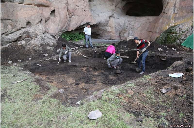 New 5,200-Year-Old Grains Found in Eastern Altai Mountains Shed Light on Trans-Eurasian Crop Trade
