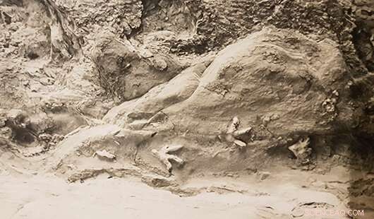 Dinosaur Footprints on Cave Ceiling Deciphered: 200-Million-Year Mystery Solved