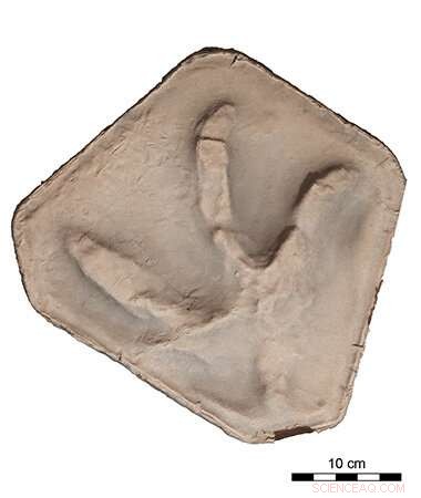 Dinosaur Footprints on Cave Ceiling Deciphered: 200-Million-Year Mystery Solved