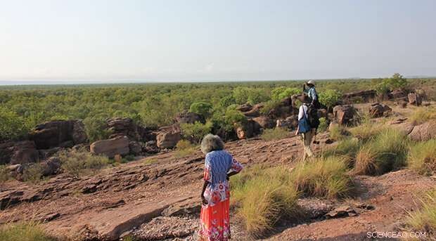 65,000-Year-Old Plant Foods Unearthed in Arnhem Land