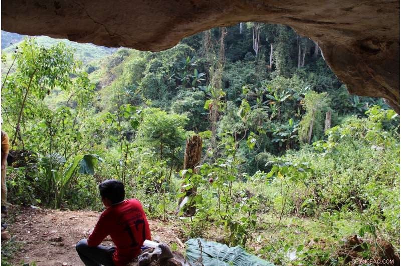 Reconstructing the Diets of Fossil Vertebrates: New Insights from Isotope Analysis