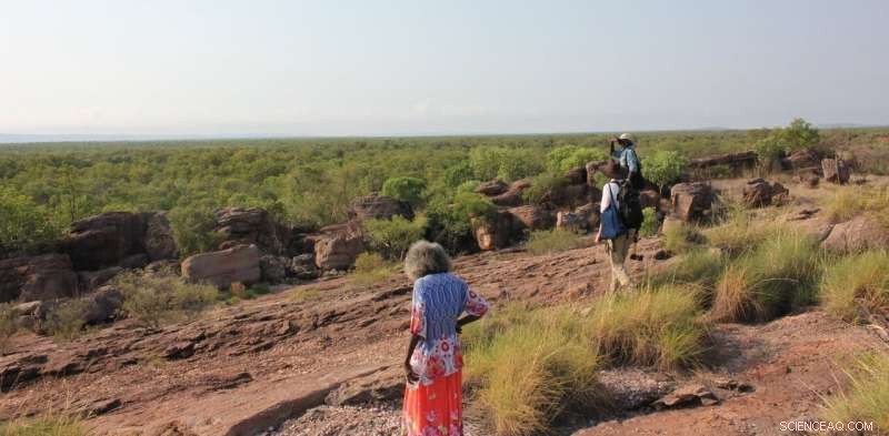 65,000-Year-Old Plant Remains Show Early Australians Dedicated Extensive Time to Cooking