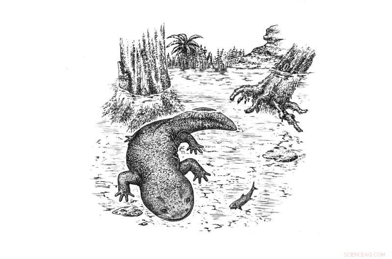 Scientists Discover New Jurassic Salamander Species, Honoring St. Petersburg Scholar