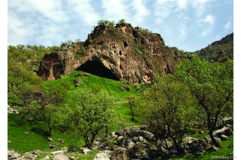 Shanidar Cave Skeleton Discovery Could Unlock Secrets of Neanderthal Death Rites