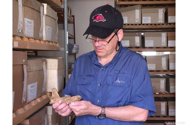 Ice Age Dog Domestication Supported by 28,500‑Year‑Old Fossil Evidence