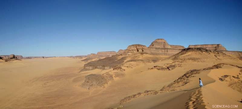 Early Holocene Sahara Reveals Fish Remains: Evidence from Takarkori Rock Shelter