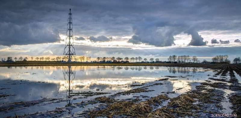 Reevaluating Carbon Pricing: Historical Insights Show It May Be Overrated