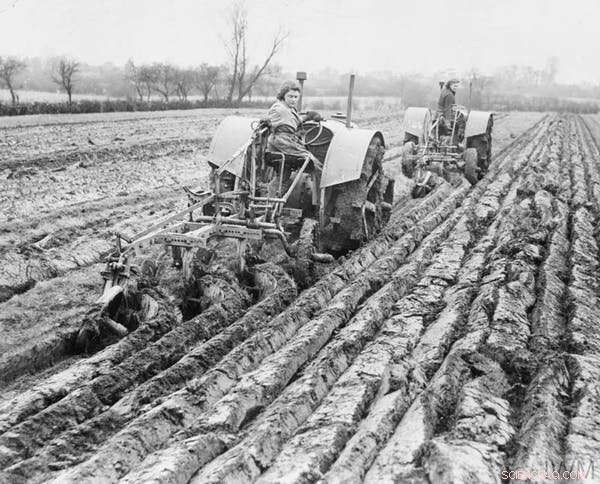 Reevaluating Carbon Pricing: Historical Insights Show It May Be Overrated