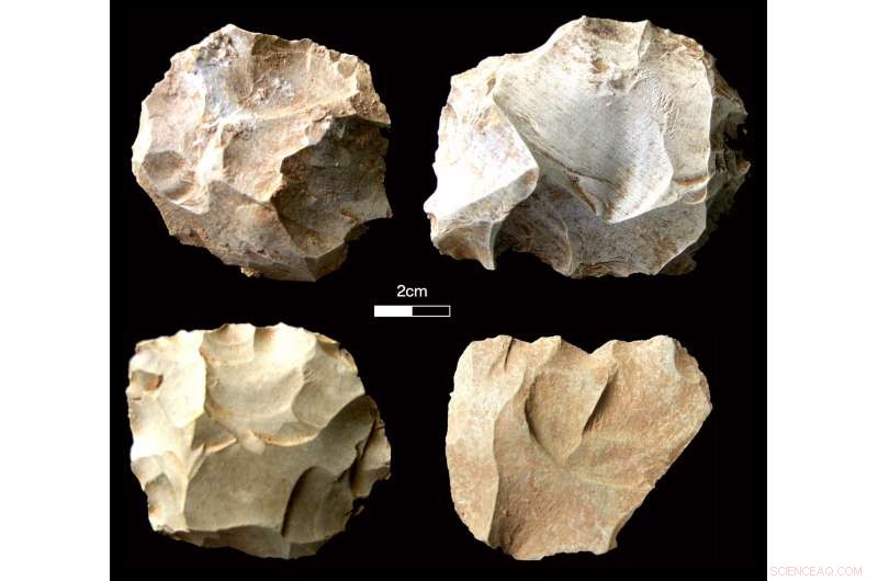 Evidence That Human Populations Survived the 74,000‑Year‑Old Toba Super‑Eruption