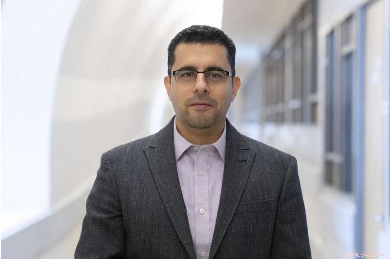 New Study Shows Green Spaces Effectively Lower Violent Crime Rates