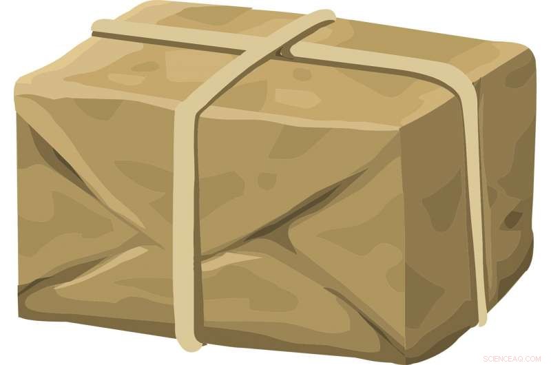 The Monday Effect: Why Your Amazon Packages Arrive Later on Mondays