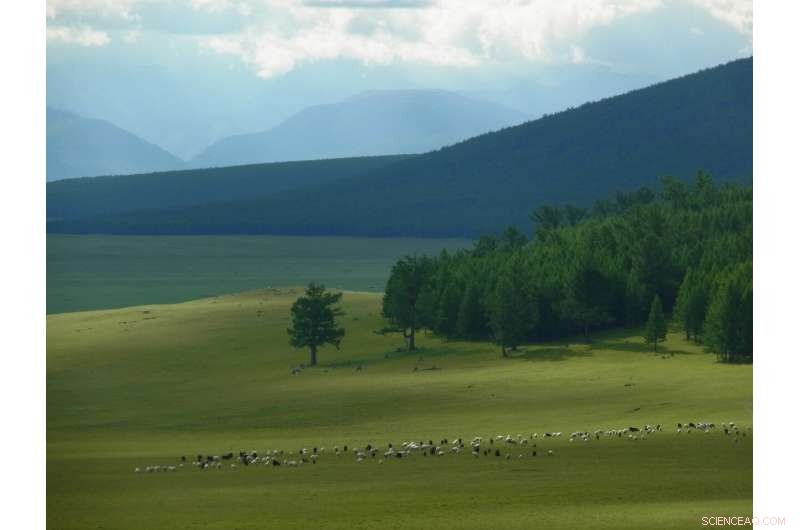Millet: The Unsung Backbone of Mongolia s Ancient Empires