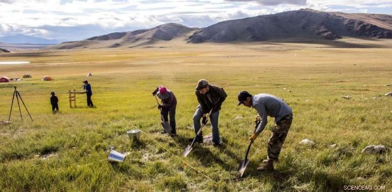 New Technology Aids Archaeologists in Pinpointing When and Where Horses Were First Domesticated