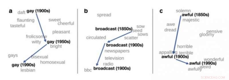 How Computational Linguistics Unveils the Mechanics of Language