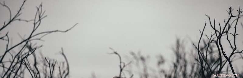 Study Reveals How Poverty and Exploitation Severely Affect Children’s Lives