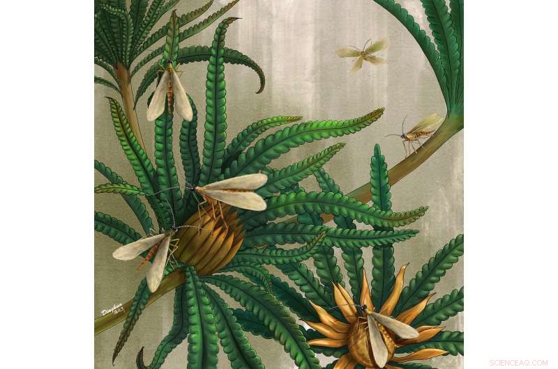 Amber Fossils Reveal the Evolutionary Origin of Scorpionfly Long Mouthparts