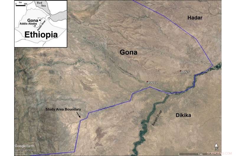 New Discovery: Smallest Known Homo erectus Cranium and Diverse Stone Tools Unearthed at Gona, Ethiopia
