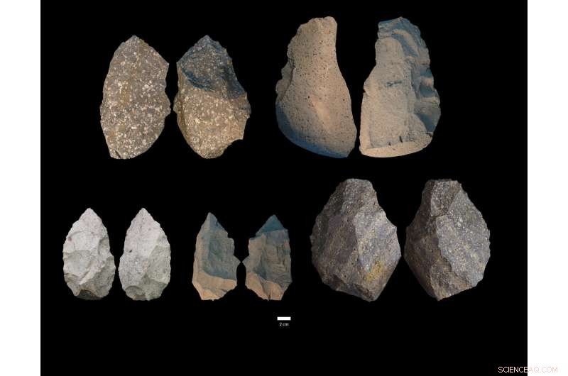 New Discovery: Smallest Known Homo erectus Cranium and Diverse Stone Tools Unearthed at Gona, Ethiopia