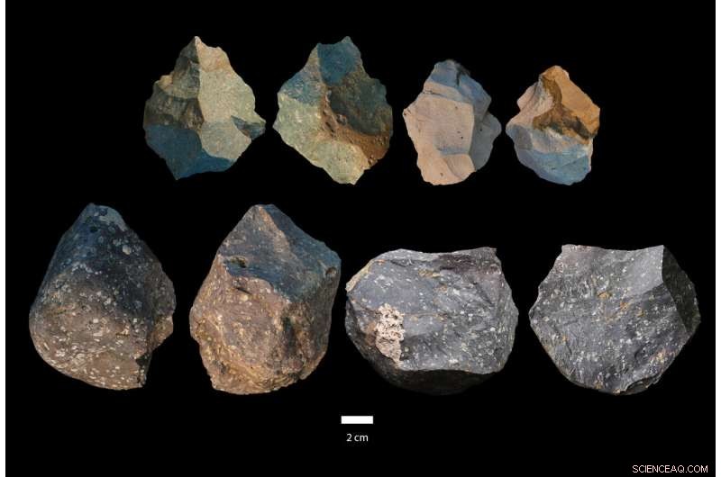 New Discovery: Smallest Known Homo erectus Cranium and Diverse Stone Tools Unearthed at Gona, Ethiopia
