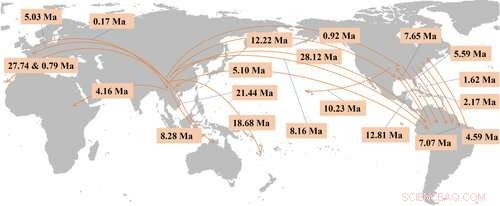 Early Eocene Origin of the Ilex Crown Clade Revealed by New Phylogenetic Study