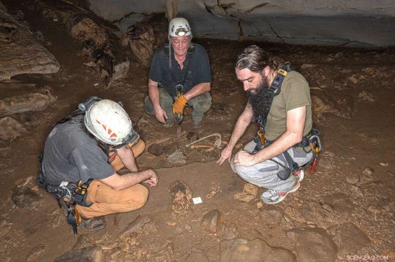 Discovering a 14th‑Century Gabon Cave: Unveiling New Insights into Africa’s Medieval Past