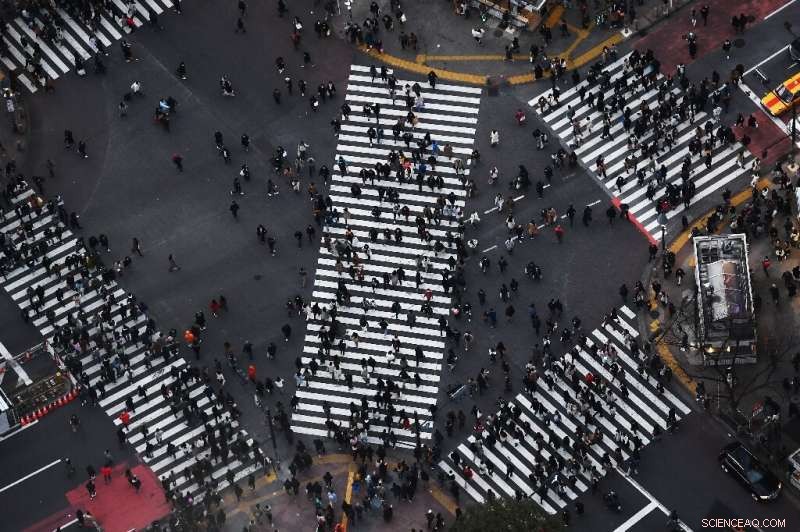 How Nintendo E-Learning Helps Families Navigate Japan s School Closures