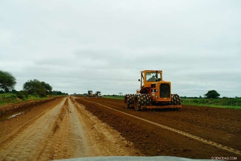 Mennonites Turn Paraguay into a Beef Powerhouse—But Indigenous Communities Pay the Price
