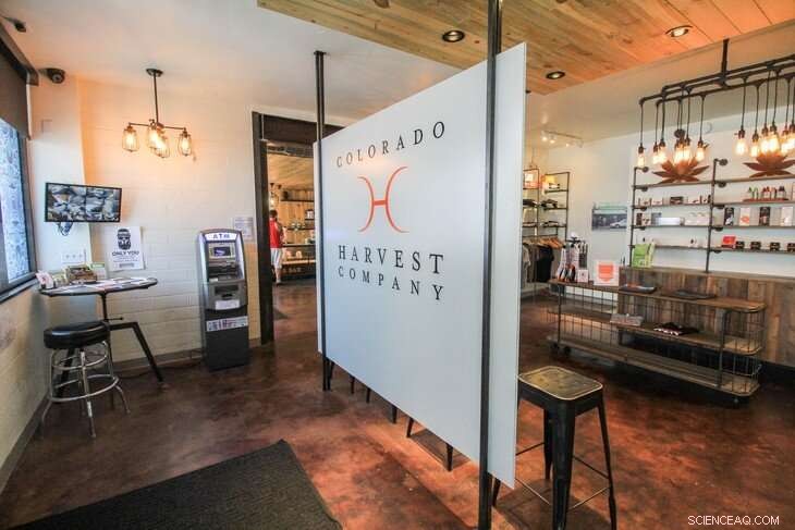 Study Reveals $130M Boost in Denver Hotel Revenues After Marijuana Legalization