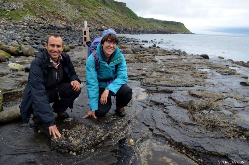 Scotland’s Isle of Skye: A Thriving Middle Jurassic Dinosaur Ecosystem Unearthed